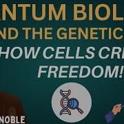 Quantum Biology Explained Why DNA Doesn T Control You Denis Noble