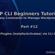 Уроки по WordPress WP CLI для начинающих 12 Управление плагинами установка активация команда