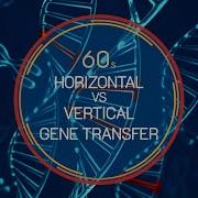 Genetics In 60 Seconds Horizontal Vs Vertical Gene Transfer