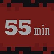 55 Minute Timer Basic Red