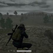 Kangaroo Jump Bug