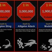 Probability Comparison Death Death Reasons Death Causes