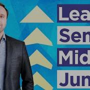 Junior Vs Middle Vs Senior Vs Lead A Guide To Business Analysis Career Path