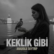 Keklik Gibi Anadolu Skytrip High Quality Hi Fi Psychedelic Rock Cover