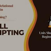 What Are Relational Operators In Shell Bash Programming Linux Shell Bash Scripting Hacking