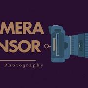 Camera Sensor