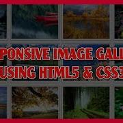 Responsive Image Gallery Using HTML5 CSS3 Pure CSS3 Image Gallery