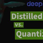 DeepSeek R1 Distilled Quantized Models Explained