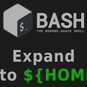 Expand Tilde To Home Directory When Reading User Input In Bash