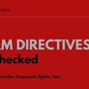 AngularJS Dersleri 23 Form Directives Ng Checked