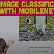 Ml5 Js Image Classification With MobileNet