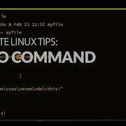 How To Use The Echo Command