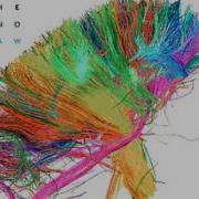 Muse The 2nd Law Isolated System Half Step Down