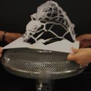 Dynamic Fields Workshop Tourbillon Project Prototype Growth Testing