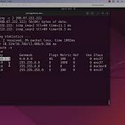Basic Linux Networking Commands That You Should Know