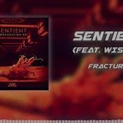 Sentient Fracture Feat WISNER