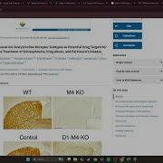 CMAP Tutorial Mobbs Lab