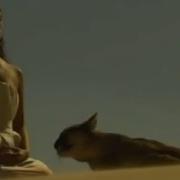 Pandera In My Dreams Extended Version