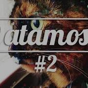 Datamosh 2 Dream Cat