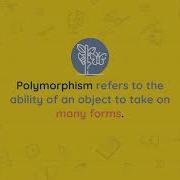 Class OOP Part 2 Understanding Inheritance Polymorphism