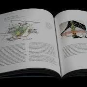 Framework Thinking Book Trailer