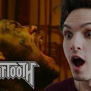 Beartooth Disease Metal Musician REACTION REVIEW