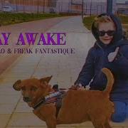Don Diablo Freak Fantastique Stay Awake Official Music Video