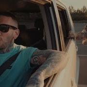 This Wild Life Positively Negative OFFICIAL VIDEO