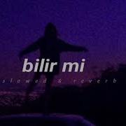 Feride Hilal Akın Bilir Mi Slowed Reverb