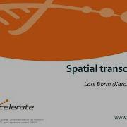 11 Spatial Transcriptomics
