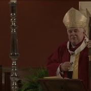 Live Palm Sunday Services Go On Locally But Worshippers Watch From Home