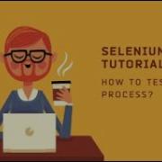 How To Select Dropdown Value In Selenium Webdriver Java