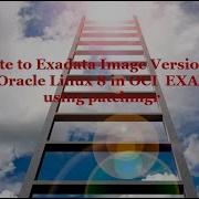 Update To Exadata Image Version 23 X And Oracle Linux 8 In OCI EXADB D Using Patchmgr Utility