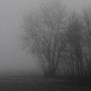 ColdWorld This Empty Life