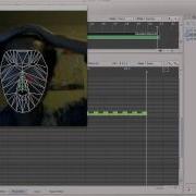 Thinkering With Sound And Face 1027