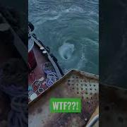 Do NOT Go IN THERE Whirlpool Sinkhole Whatisit Deadpool Shorts Shortsfeed Goodgod Docklife