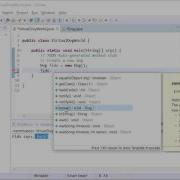 SoloLearn Java Objects Part 2 Give Your Dog Behavior