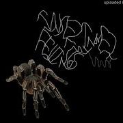 Insertmyinnerfeelings Spydarz 2020