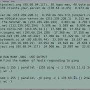 GNU Parallel Script Processing And Execution