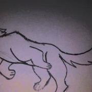 Test Animation Running Wolf