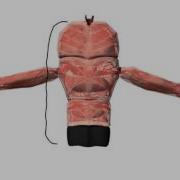 Oscar The Modular Body