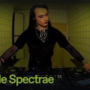 Camille Spectrae HÖR June 12 2025