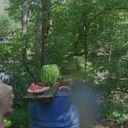 500 Magnum Watermelon Carnage