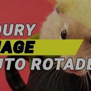 How To Image Auto Rotede Animation Jquery Javascript