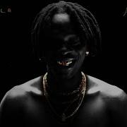 Fireboy DML Jon S Interlude Official Visualizer