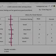 Lecture 3 Converting Categorical Features Into Numerical Format In Python
