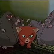 Lucky And Zorba We Are The Rats Reupload