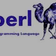 Perl Programming Turtorial 04 Knowledge Chip Naren How To Take Input From User