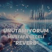 Mustafa Ceceli Unutamiyorum Reverb Lyrics