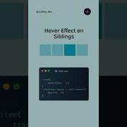 CSS Tricks Hover Effect On Siblings Using Pure CSS